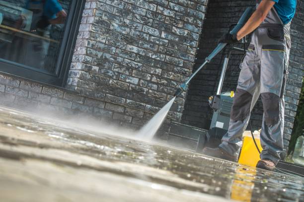 Best Soft Washing  in South Lyon, MI