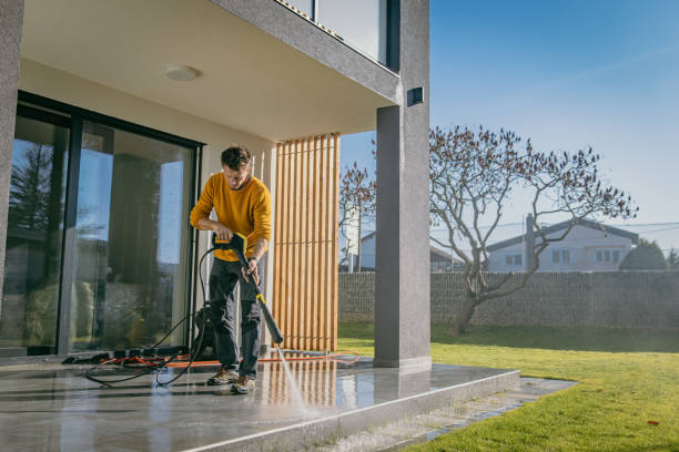 Best Boat and Dock Cleaning  in South Lyon, MI