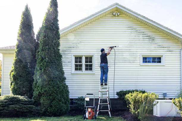 Best Gutter Cleaning  in South Lyon, MI